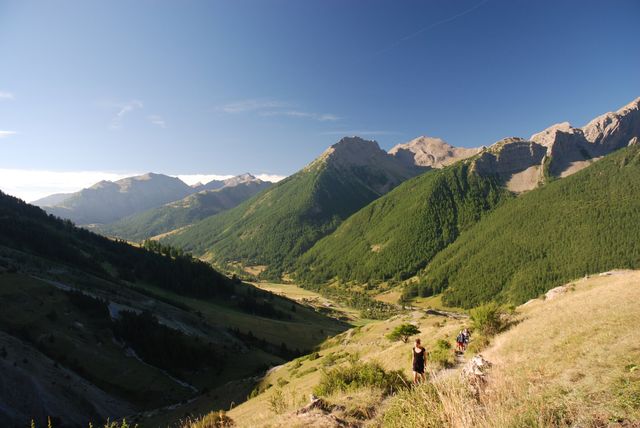 Click to view full size image