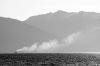 Filename=28-wakatipu_nz-176-s-bw.jpg
Filesize=338KB
Dimensions=2000x1339
Date added=Apr 15, 2011 28-wakatipu_nz-176-s-bw.jpg